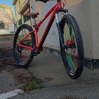 bici mtb