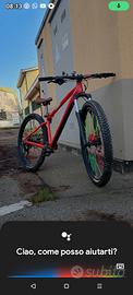 bici mtb