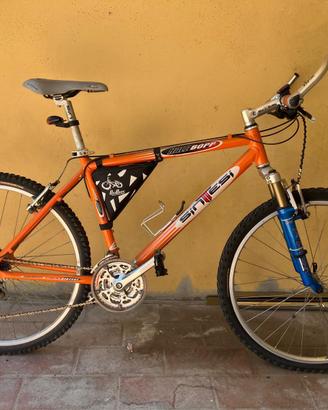 Mountain bike vintage Sintesi