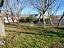 Immagine 29