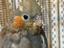 Immagine 3