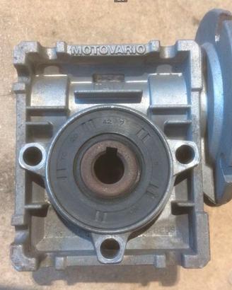 Riduttore Motovario NMRV 025 – Rapporto i=60