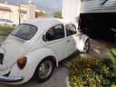 volkswagen-maggiolino