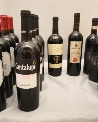  Lotto nr 32 - Bottiglie di vino (nr. 13)