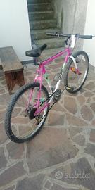 Mountain bike misura 26 anni 90