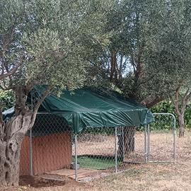 recinto per cane 230x230x175 +  Cuccia Omaggio