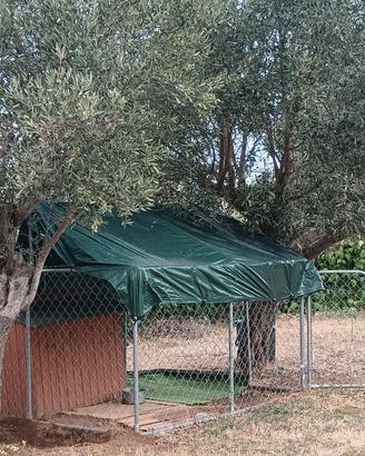 recinto per cane 230x230x175 +  Cuccia Omaggio