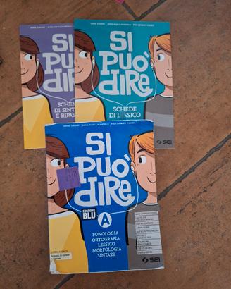 si può dire libro scolastico 