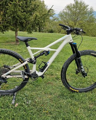 specialized enduro expert