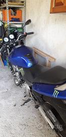 Honda hornet 600