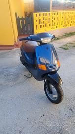 zip modello base
