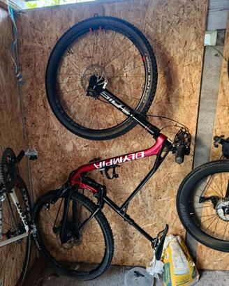 Mtb F1X carbon