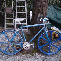  BICICLETTA DA PASSEGGIO