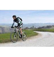 Bicicletta elettrica Benelli MTB Alpan ruota 27,5"