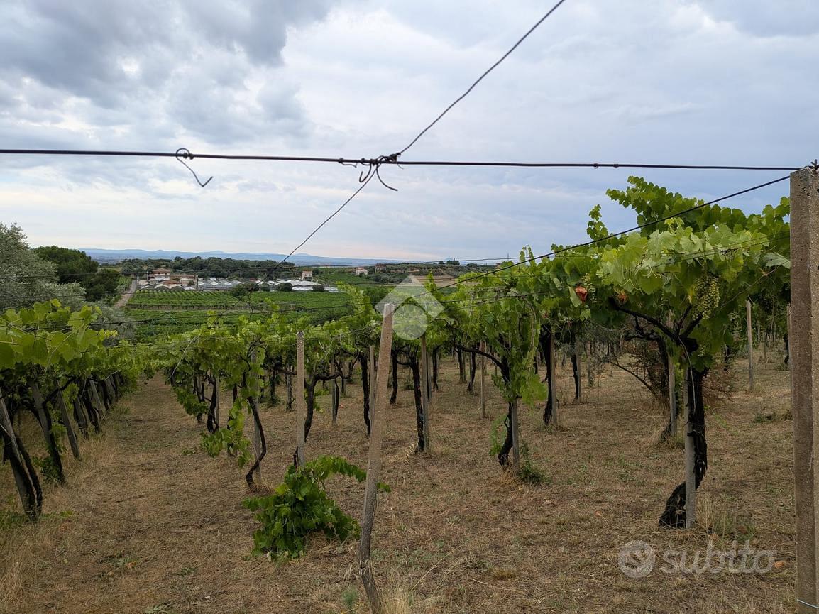 TER. AGRICOLO A FRASCATI - Vista 4