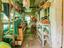 Immagine 26
