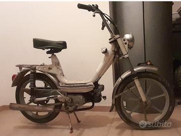 Piper cimatti 50 