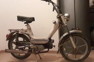 Piper cimatti 50 
