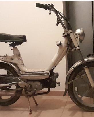 Piper cimatti 50 