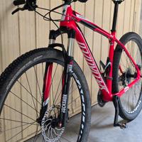 Specialized Stumpjumper HT 29