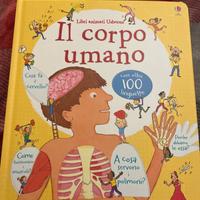 Il corpo umano