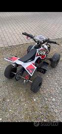 Quad 55 cc