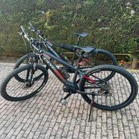 Mtb e bike olympia master