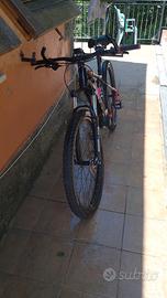 bicicletta elettrica pedalata assistita 