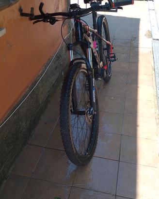 bicicletta elettrica pedalata assistita 