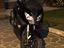 Immagine 4
