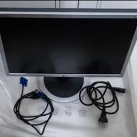 Monitor LG 20 Pollici