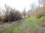 Immagine 26