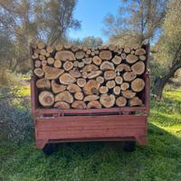 Legna sarda pronta all’uso