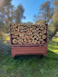 Legna sarda pronta all’uso