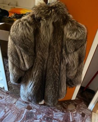 Pelliccia marmotta