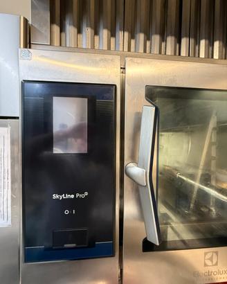 Forno professionale