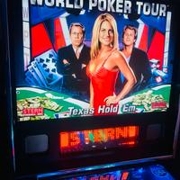 Flipper Stern Anno 2006 come nuovo