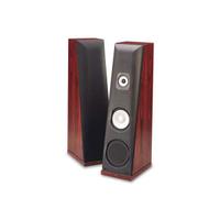 Thiel CS6