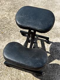 Sedia ergonomica