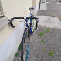 Wilier triestina