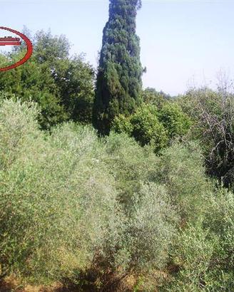 Terreno di 44 m² a Bucine