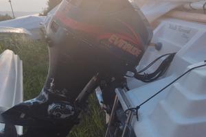 75 cavalli motore evinrude fict
