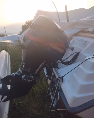 75 cavalli motore evinrude fict
