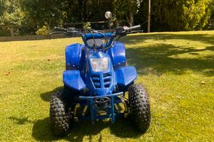 Mini Quad