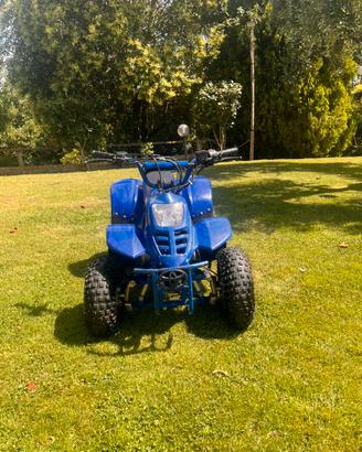 Mini Quad