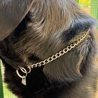 Guinzaglio per cane HS Germany in acciaio inox | c