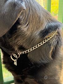 Guinzaglio per cane HS Germany in acciaio inox | c