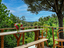 Immagine 11
