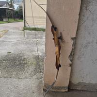 arco professionale GASPRO