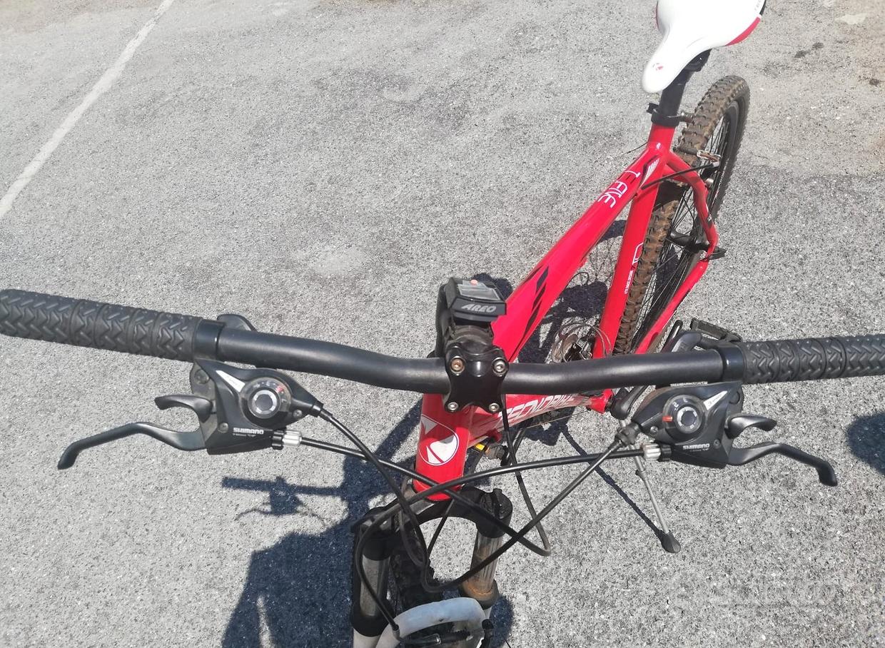 Telaio Pinarello Dogma Telaio Bici Crono Cinese Ciclismo Cicli